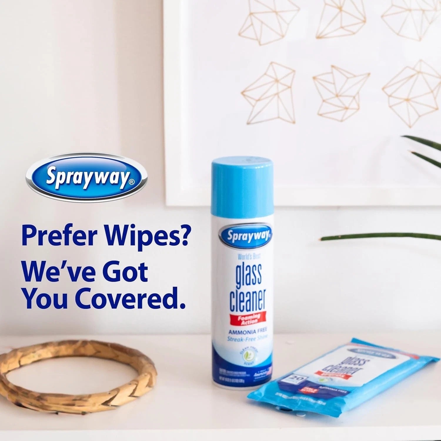 Sprayway Foaming Glass Cleaner 2 Pack Ammonia Free Streak Free Shine 19oz Value