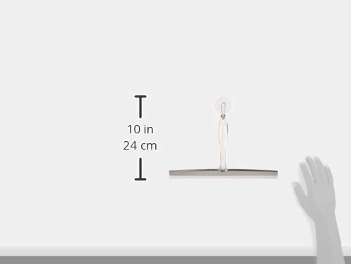 iDesign Zia Metal and Plastic Bathroom Squeegee for 12″ Inch, Clear/Stainless