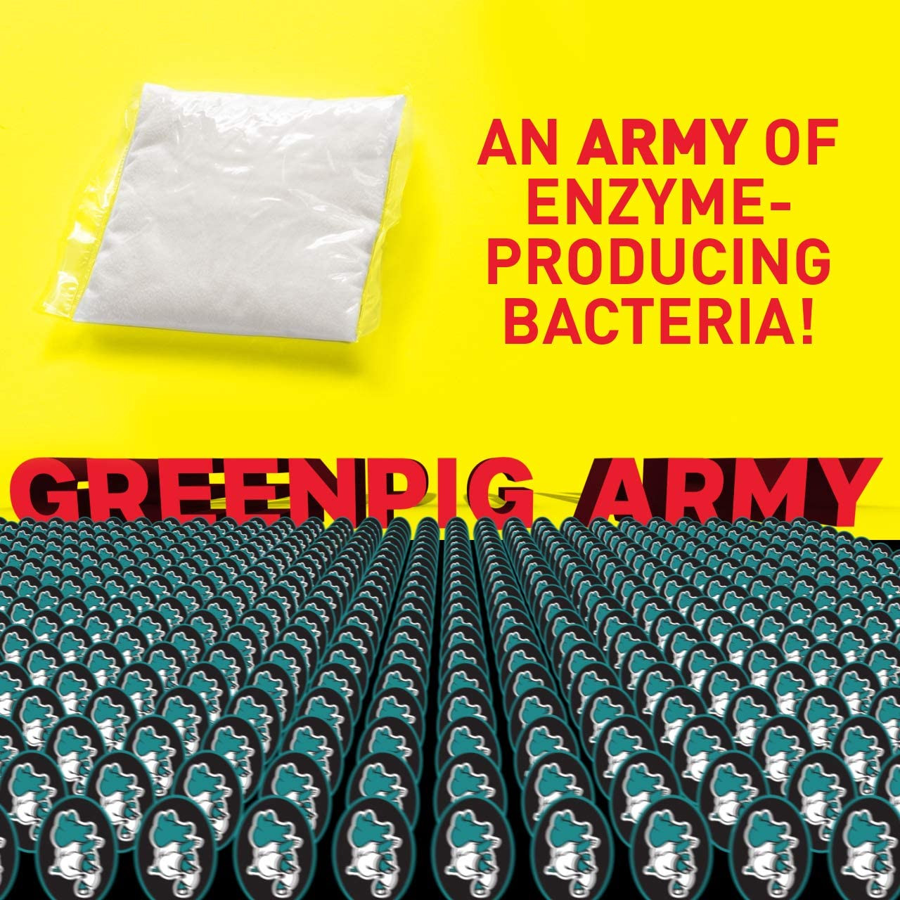 GREEN PIG Live Tank Treatment Aids of Septic Waste, 4 Packets