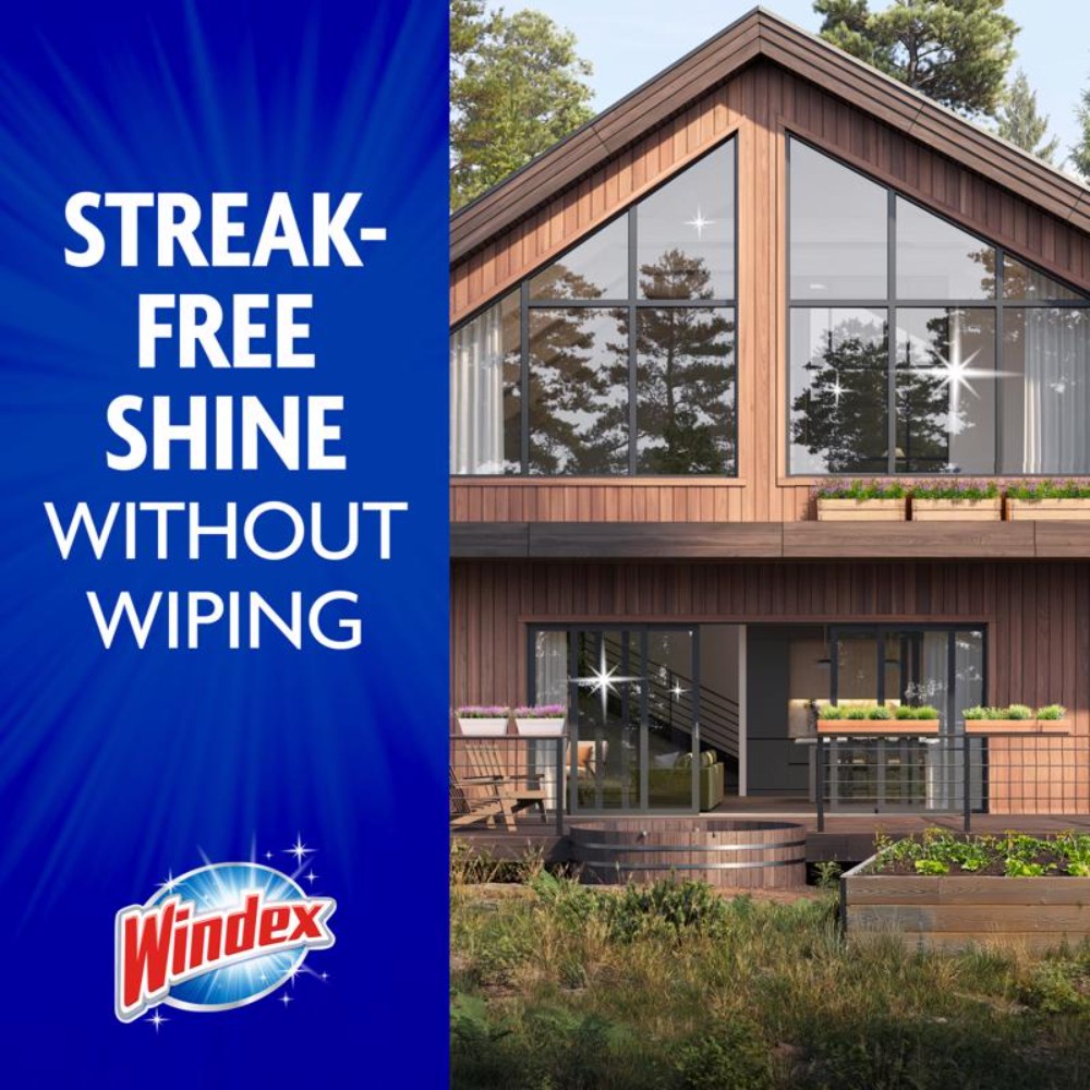 Windex 10122 Blue Outdoor Glass Cleaner 3 oz. with Sprayer (Pack of 8)