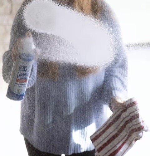 Sprayway SW050R 19 Oz Foaming Action Glass Cleaner Aerosol Spray