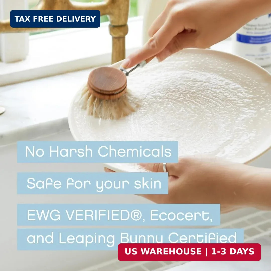 AspenClean | Dish Soap & Refill | Unscented | Liquid Dishwashing Detergent Soap