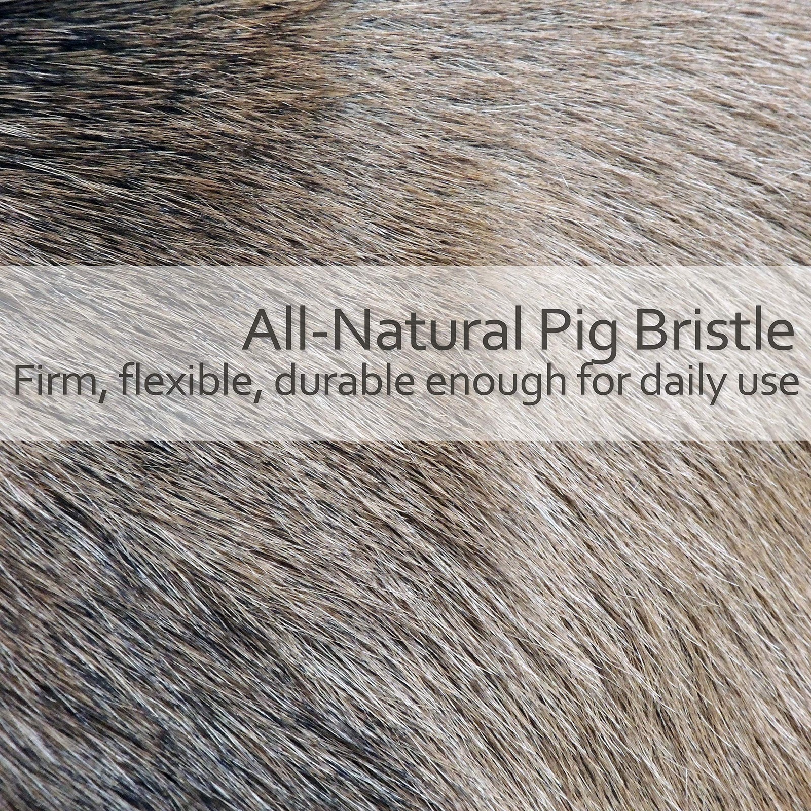 Natural Pig Bristle Radiator Brush with Oiled Beechwood Handle, 18-1/2-Inches