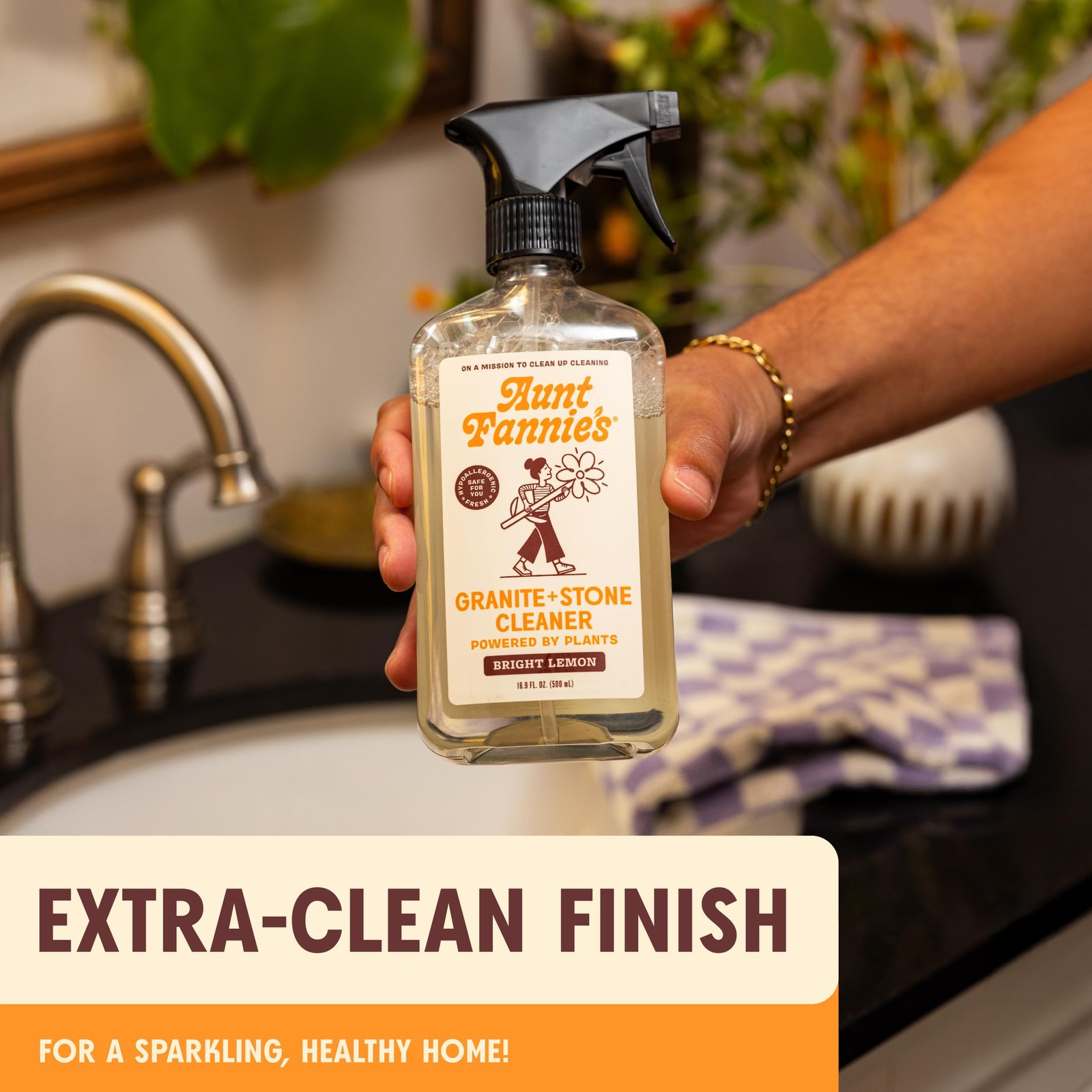 Aunt Fannie’s Granite and Stone Cleaner, Plant Based 16.9 Fl Oz (Pack of 1)