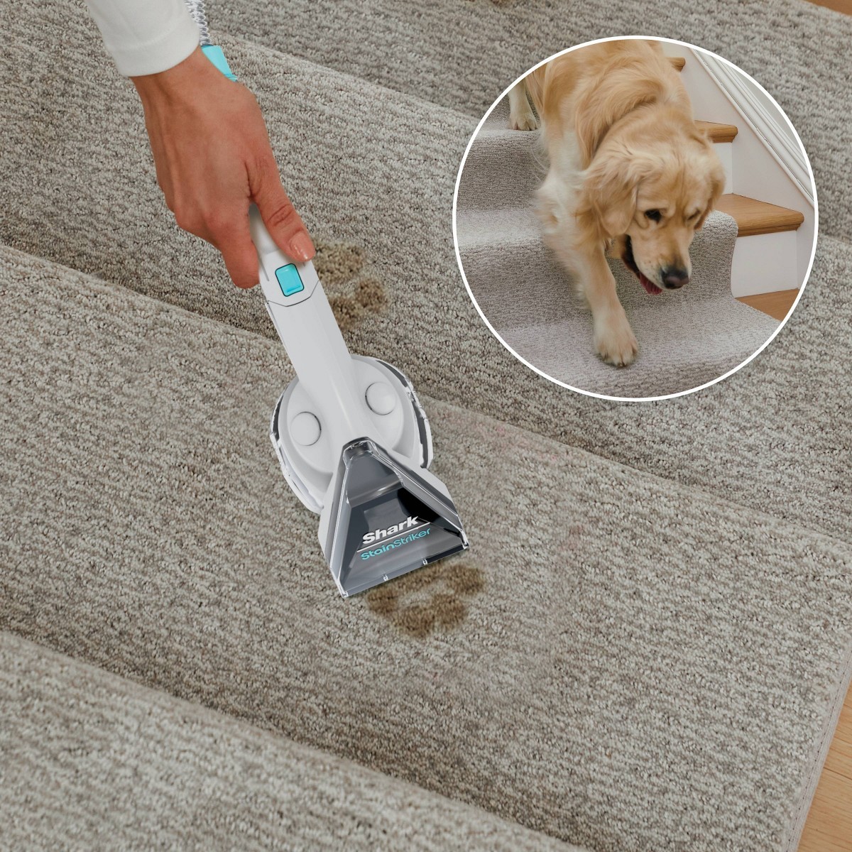 Shark CarpetXpert Deep Clean Pro Formula 48oz: Carpet & Upholstery Cleaner