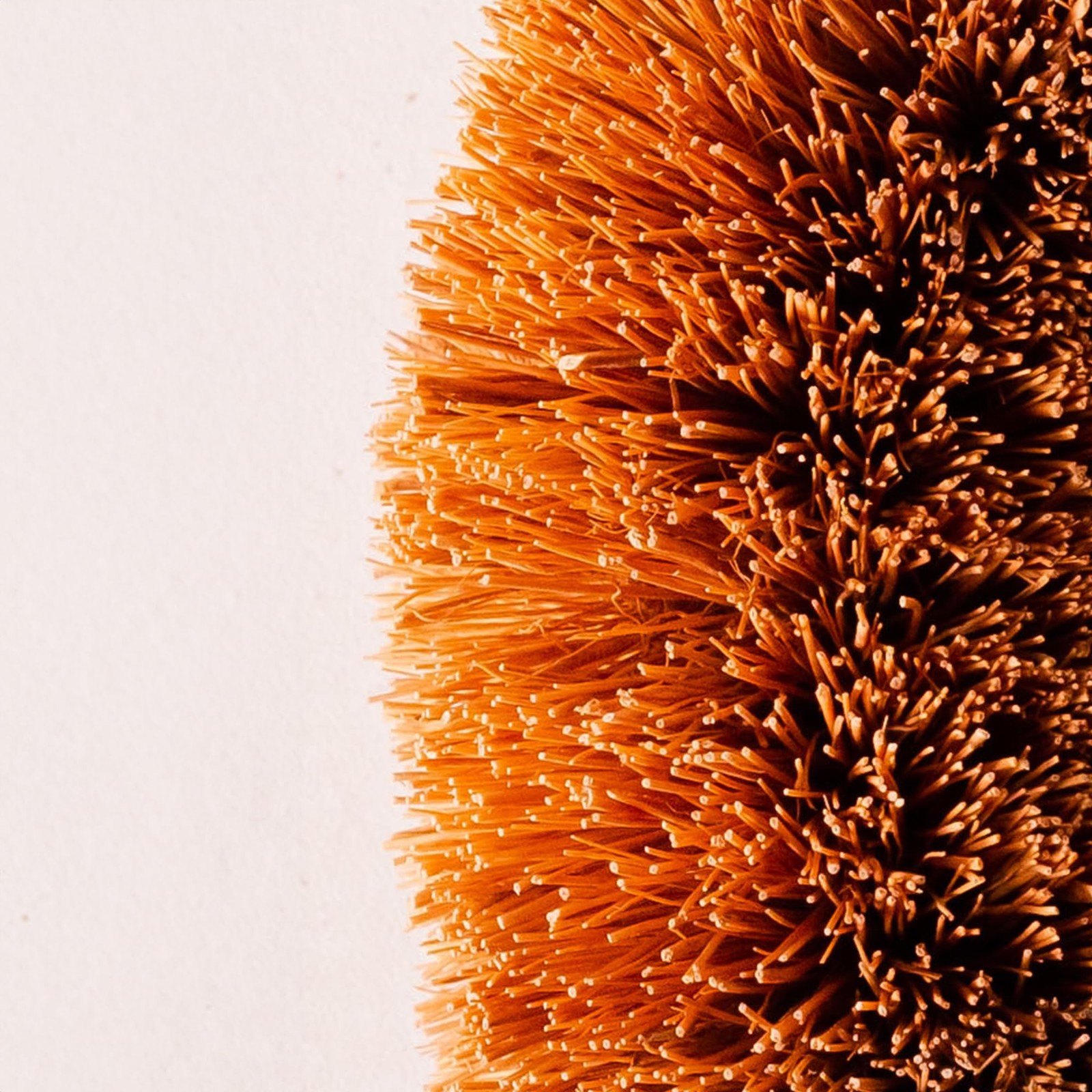 Pack of 6 Tawashi Vegetable Scrub Brush,100% Natural Coconut Coir Fiber Veget…