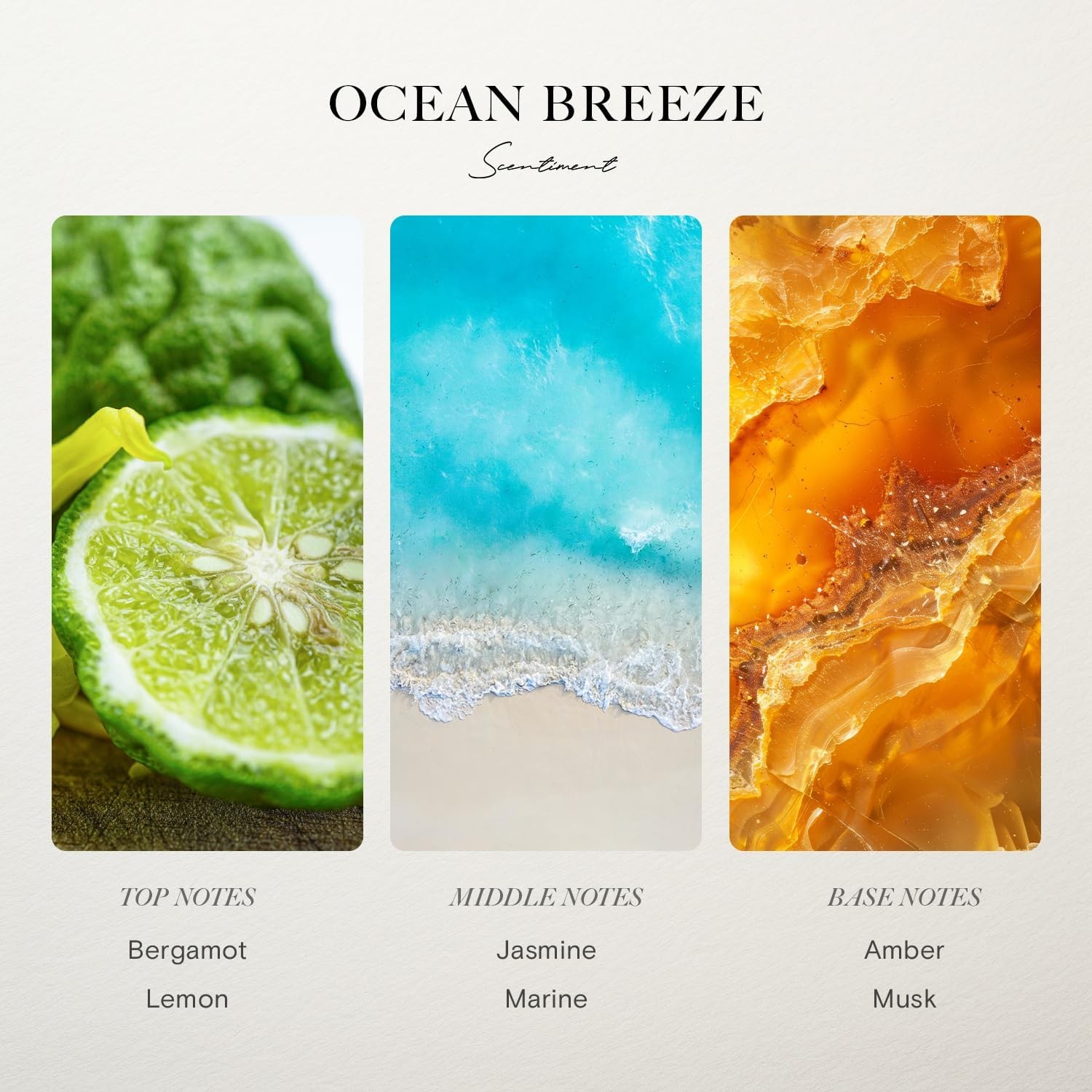 Scentiment Ocean Breeze Diffuser Oil – Premium Hotel Scent with Notes of Berga