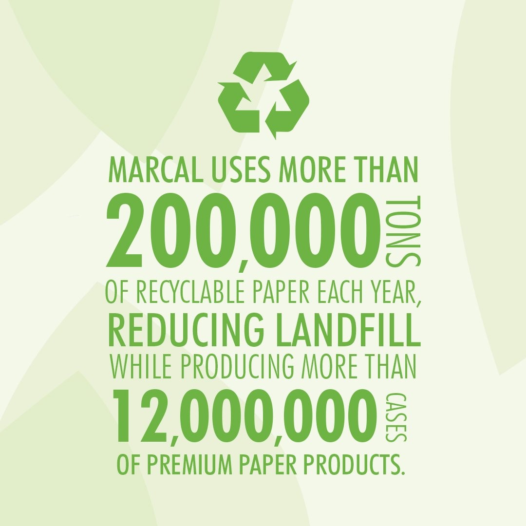 Marcal Paper Towels U-Size-It Sheets 2 Ply 140 Sheets Per Roll 100% Recycled –