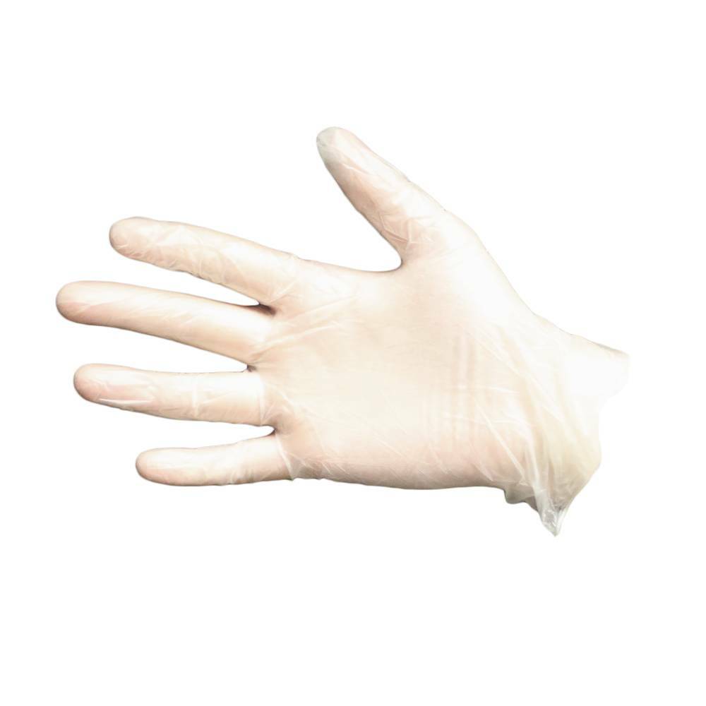 Case of 10/100-pk Impact 8606M Disposable Vinyl Powdered General Purpose Gloves