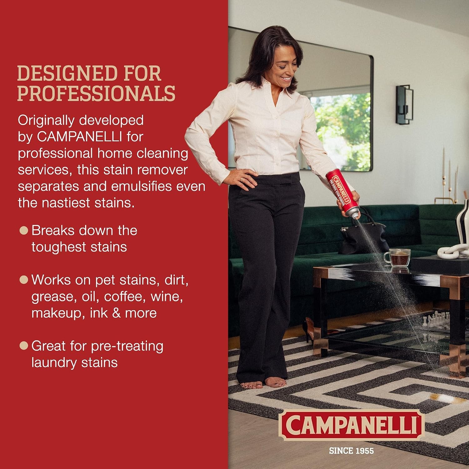 Campanelli Pro Series Stain Remover Point & Spray Carpet & Upholstery Cleaner