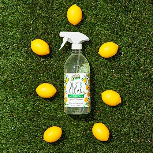 Plantbased Multisurface Dusting & Cleaning Spray 24 Fl Oz pack Of 2