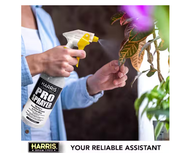 Professional Spray Bottle (4-Pack)