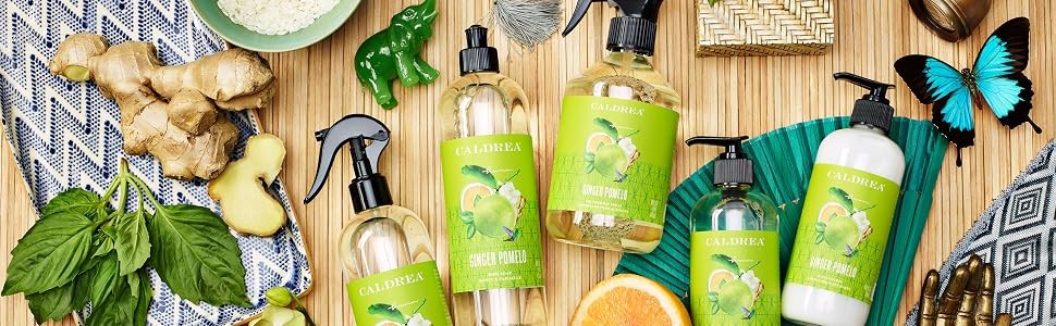 Dish Soap, Biodegradable Dishwashing Liquid made with Soap Bark and Aloe Vera,