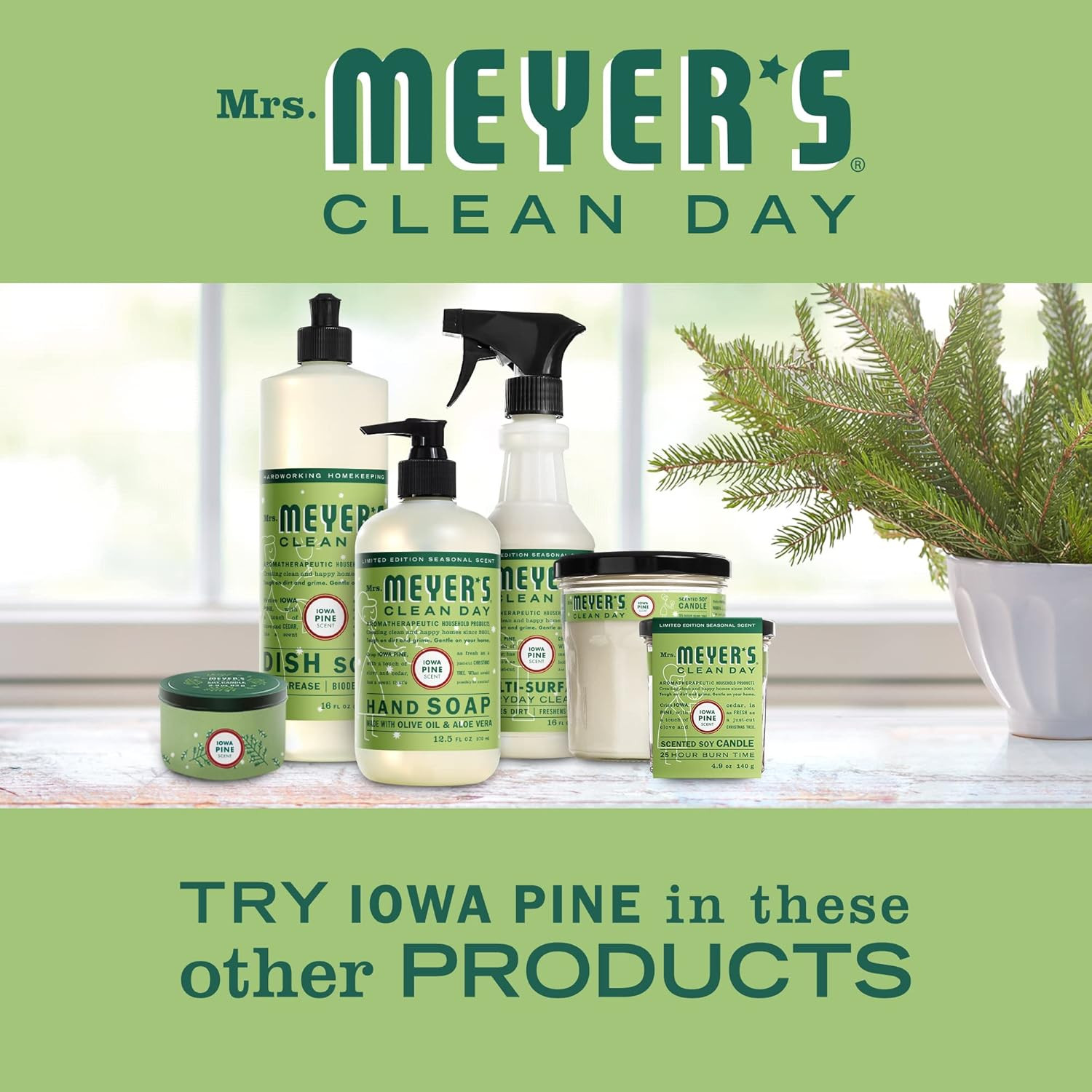MRS. MEYER’S CLEAN DAY Multi-Surface Cleaner Spray, 16 Oz Pack of 3