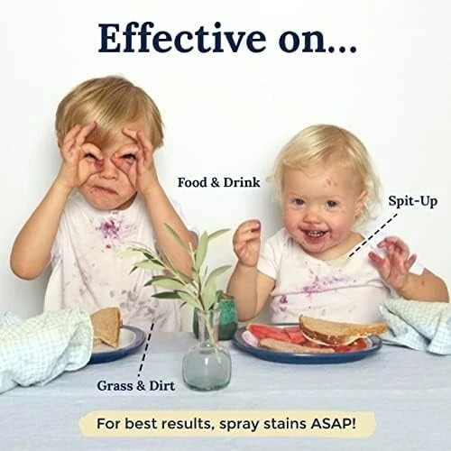 Miss Mouth’S Messy Eater Stain Treater Spray – 4Oz 2 Pack Stain Remover – Newbor