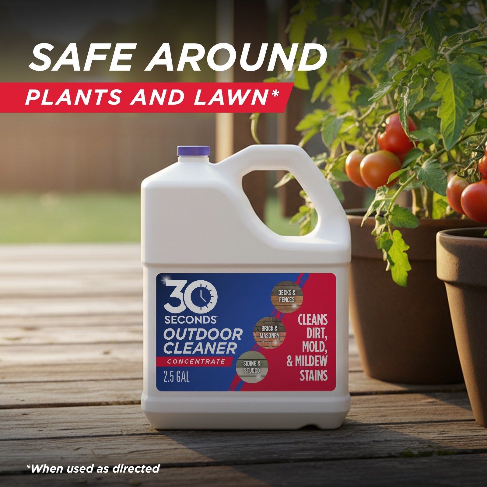 30 SECONDS 5-gallon Mold and Mildew Stain Remover Concentrated Outdoor Cleaner