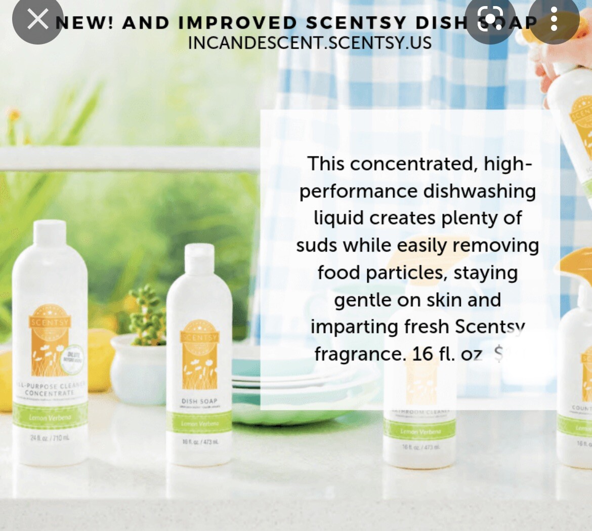 Scentsy DISH SOAP ~ Clean Smell ~ Full Sz Scented VerySnowy Spruce Citrus Grotto