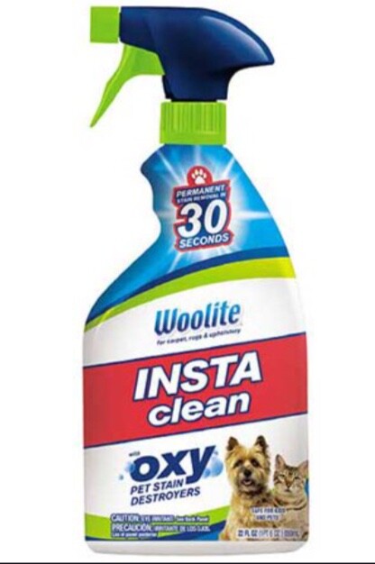 Woolite Instaclean Oxy Pet Stain Remover Spray, 22 Oz