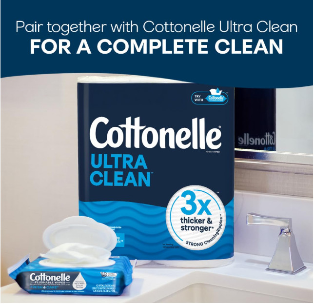 Fresh Care Flushable Wet Wipes,Adult Wet Wipes,4 FlipTop Packs,42 Wipes PerPack