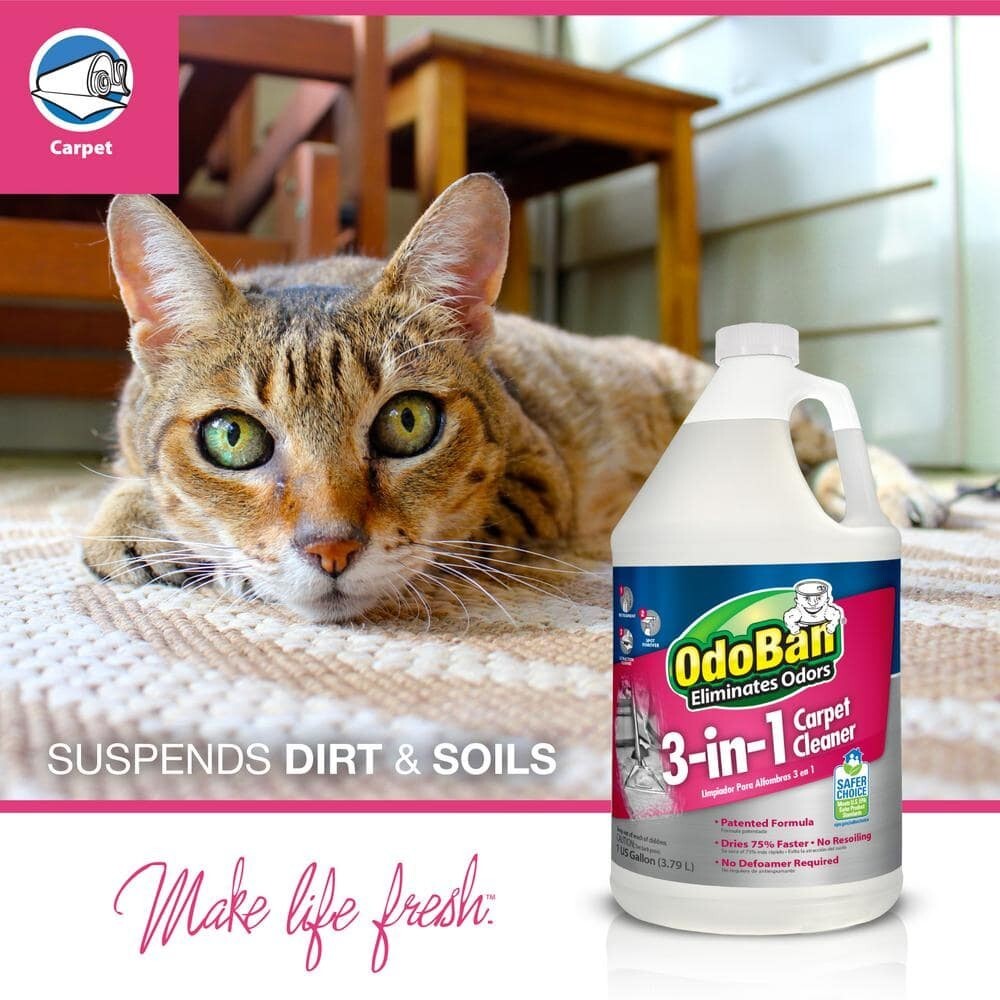1 Gal. 3-in-1 Carpet Cleaner, Concentrated Carpet Cleaning Solution, EPA Safer C
