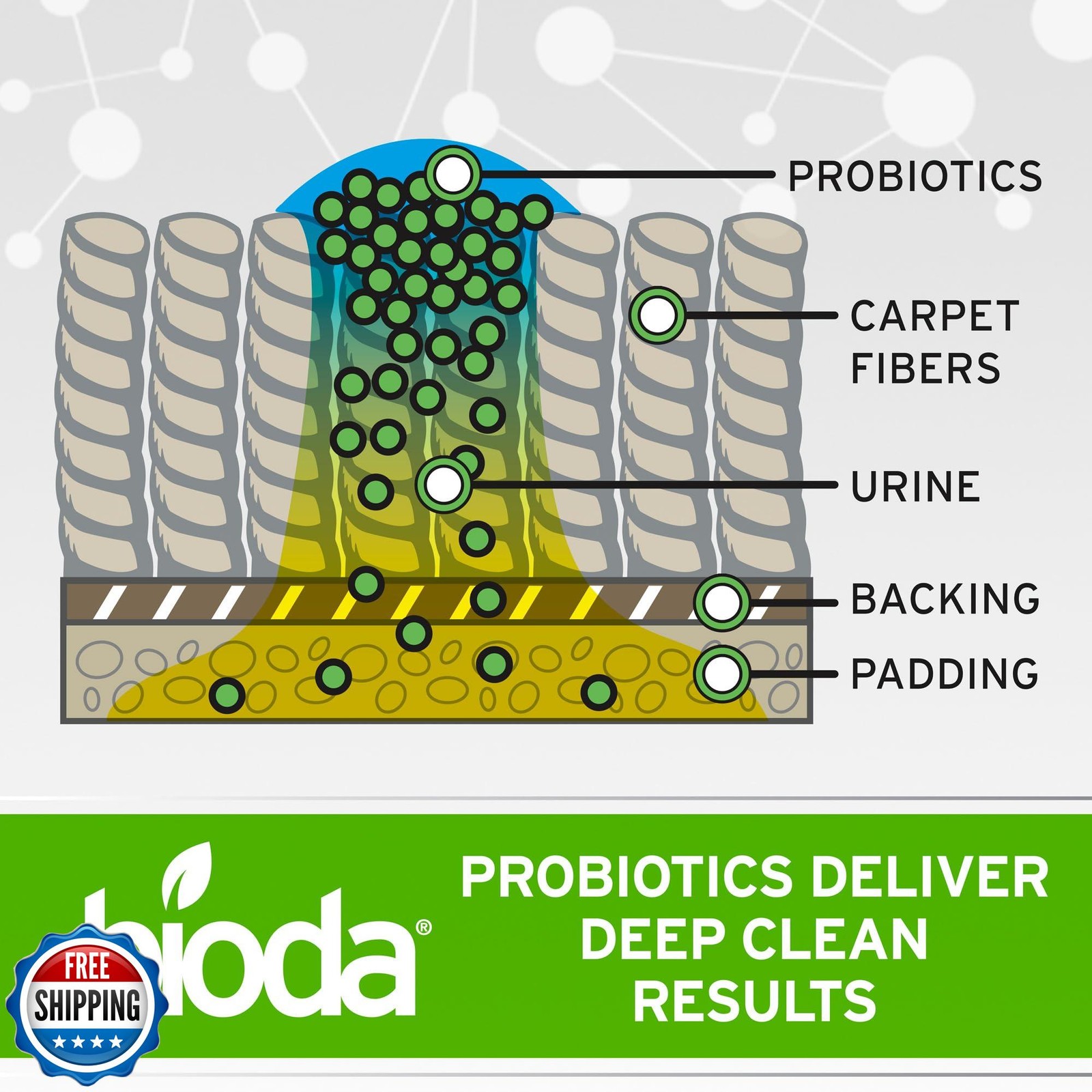 Bioda Multi-Purpose Probiotic Enzyme Cleaner and Deodorizer | Professional St