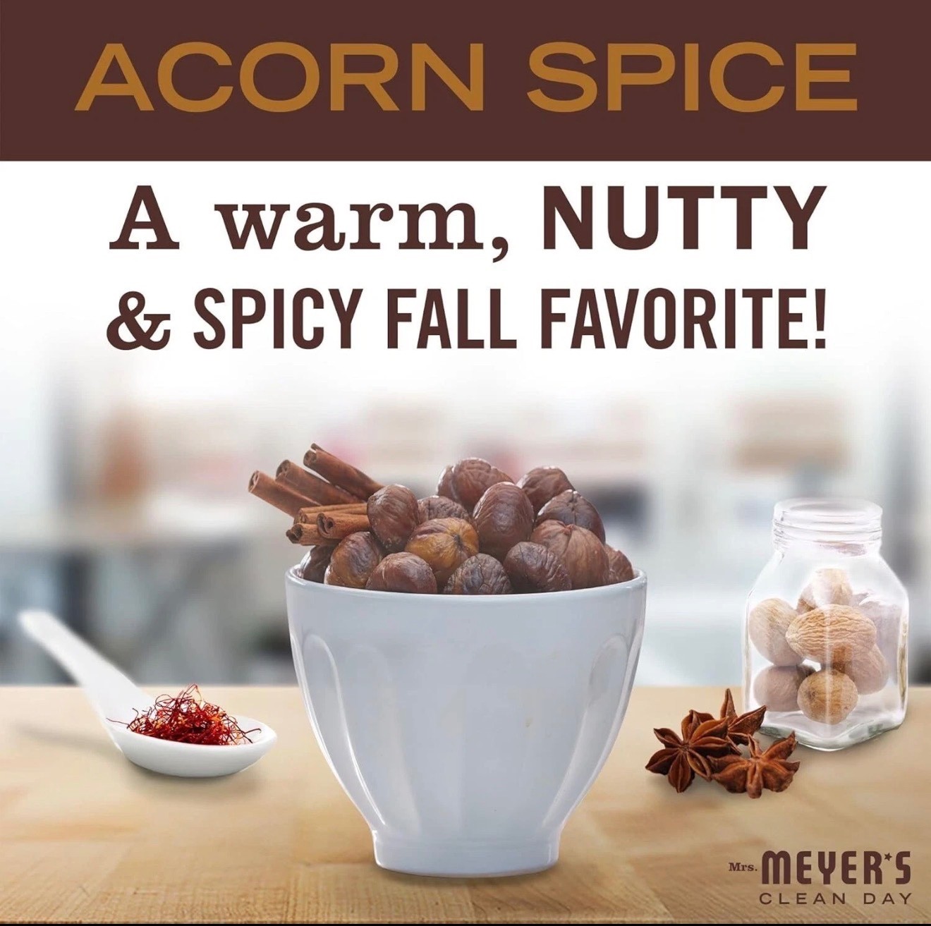 All-Purpose Cleaner Spray, Limited Edition Acorn Spice, 16 Fl. Oz – Pack of 3!