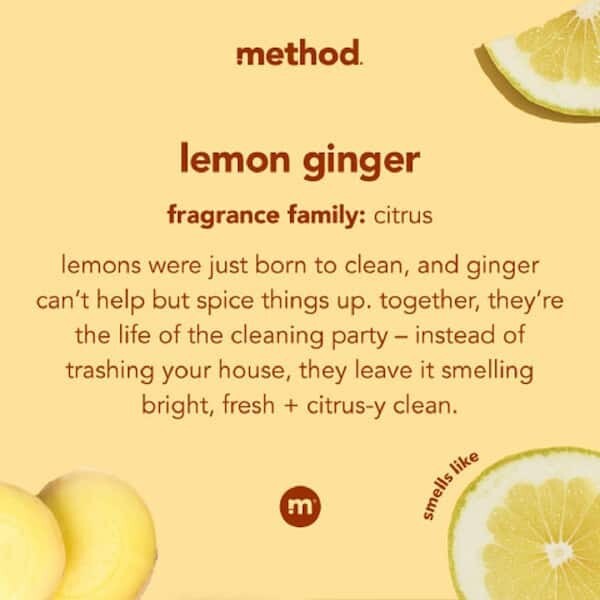 Method Squirt & Mop Hard Floor Cleaner – Lemon Ginger – 25 Fl Oz (Pack of 3)