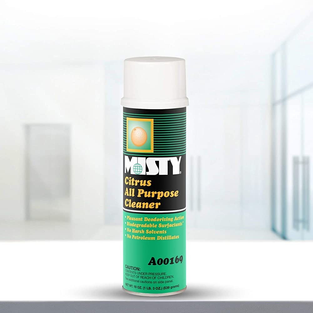 MISTY Citrus All-Purpose Cleaner – 19 oz (Case of 12) 1001583 – Biodegradable