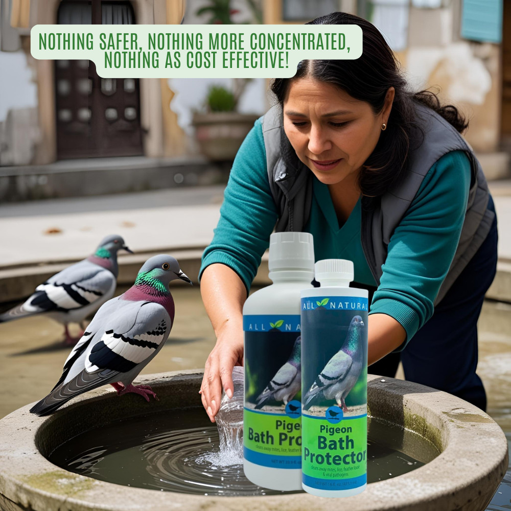 Pigeon Bath Protector & Feather Conditioner | For Show & Racing Pigeons | 16 oz
