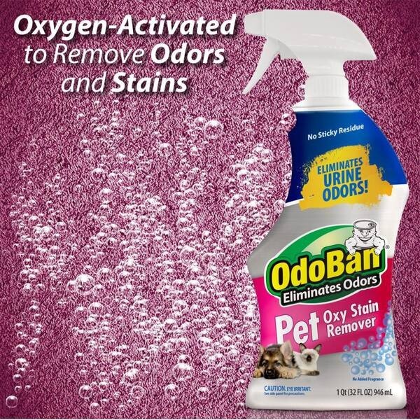3 Pack OdoBan 32oz. Pet Oxy Stain Remover Eliminates Urine Odor Oxygen Activated