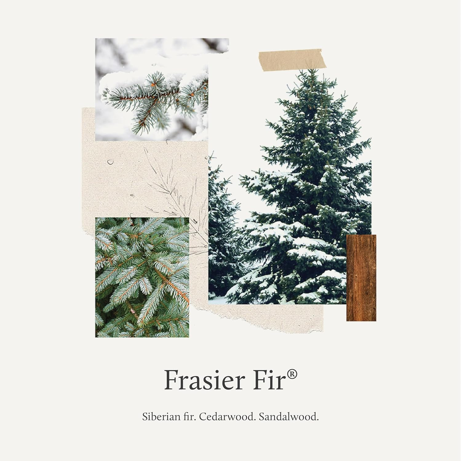 Frasier Fir All-Purpose Cleaner – Biodegradable Cleaner with Natural Essential O