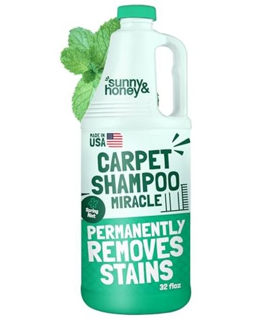 Spring Mint Scent Carpet Cleaner – 32 Fl Oz – Heavy Duty – Pack of 1
