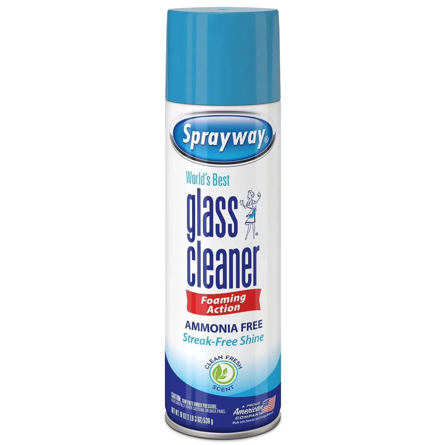 Sprayway Glass Cleaner 19 Ounce Pack of 4 Streak Free Shine