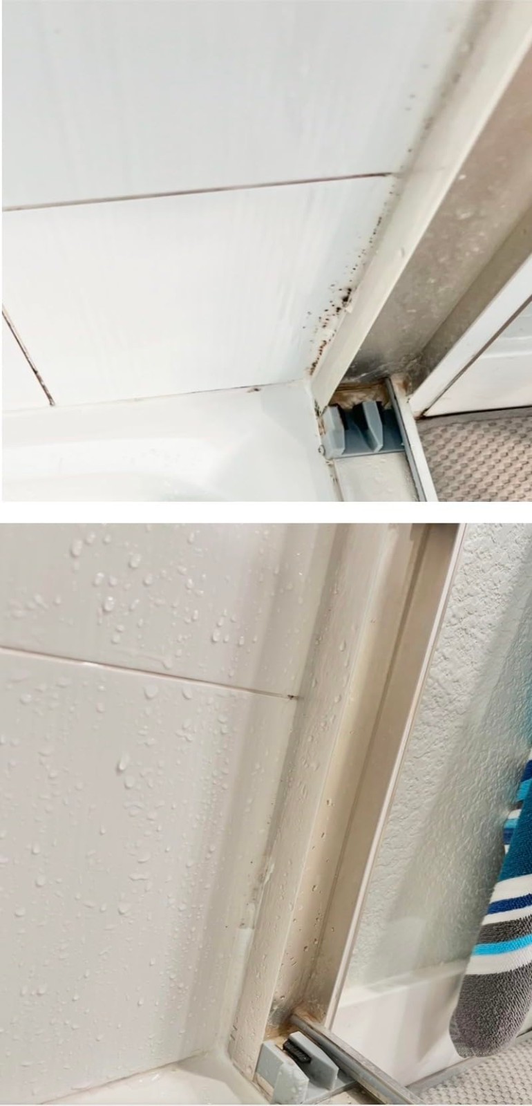 Glassguard Mold Stain Cleaner Gel 10 Fl Oz, 300ml for Grout, Glass, Caulk, Tile