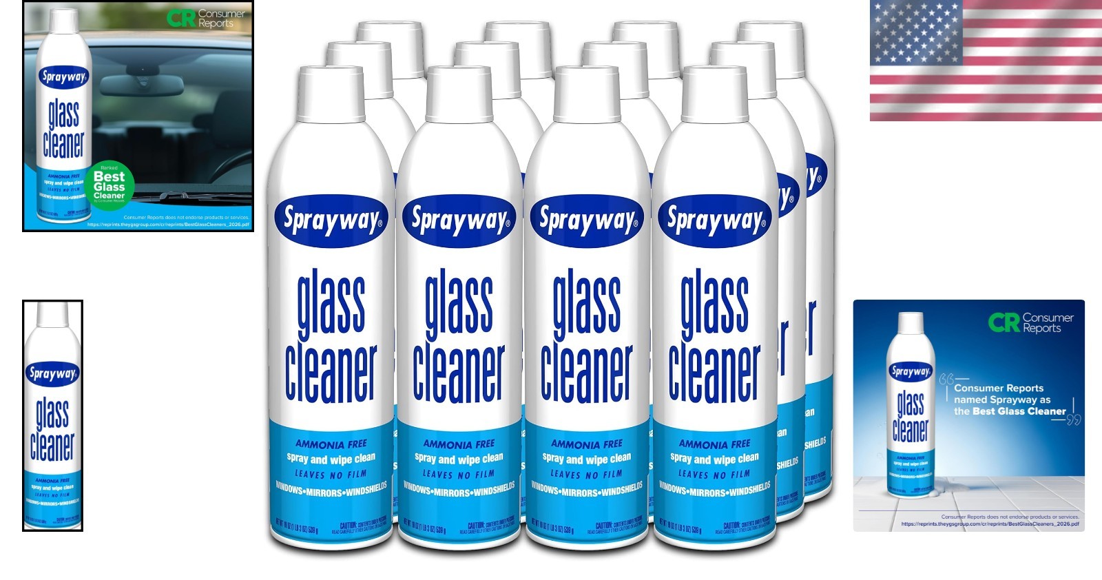 12 Pack Glass Cleaner Foaming Spray 19oz.