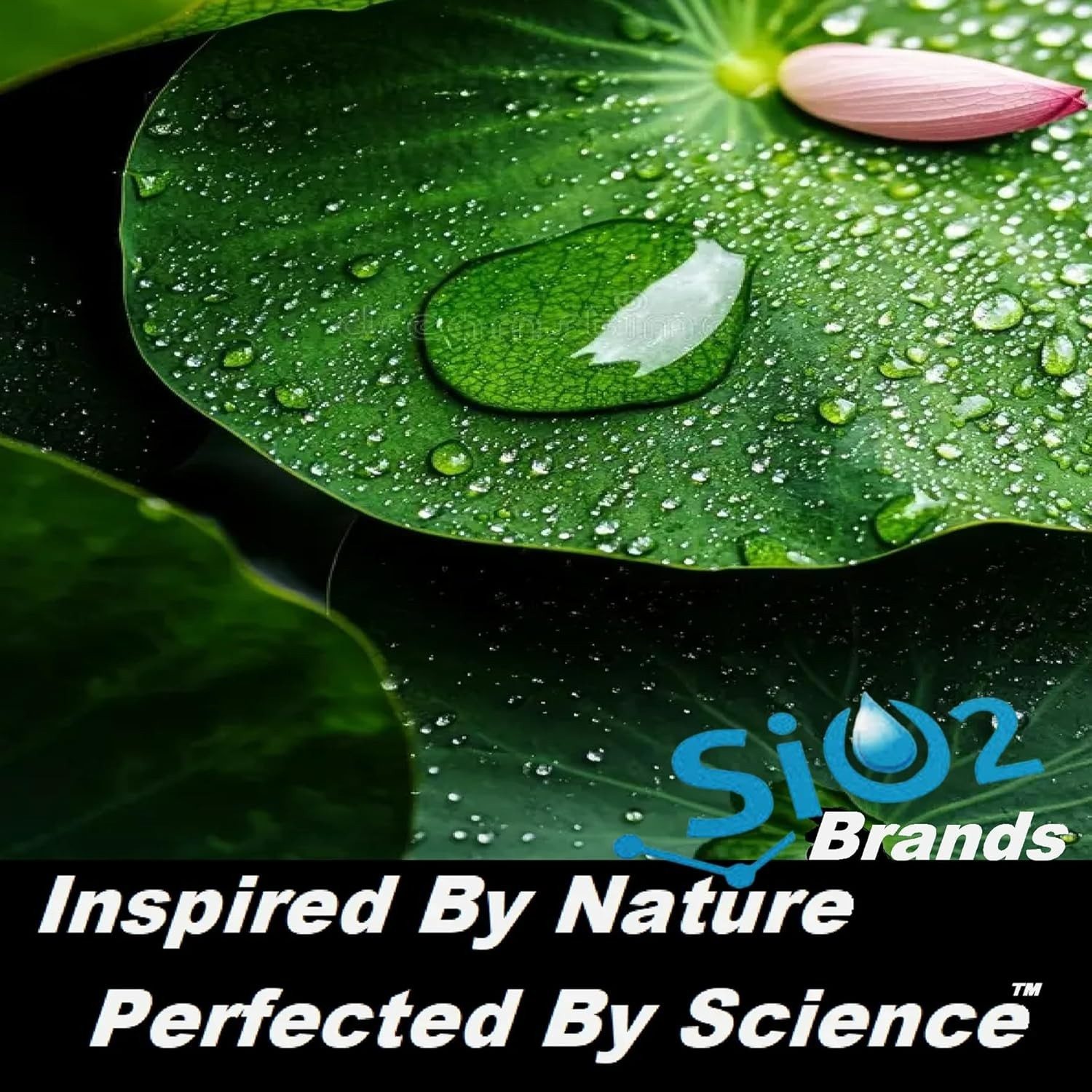 ALL SURFACE STAINLESS STEEL CLEANER GRANITE STONE TILE MARBLE COUNTERTOP SEALER