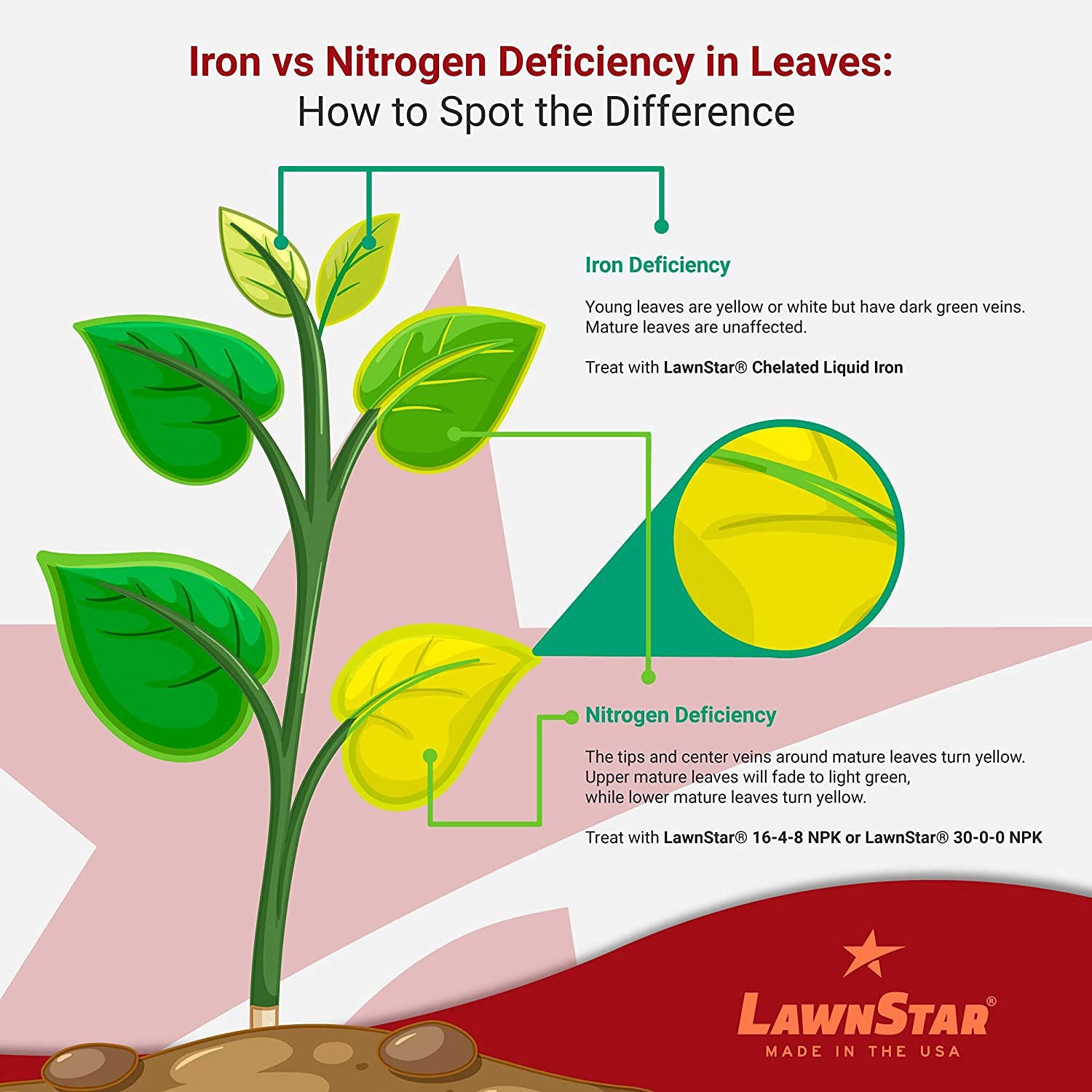 LawnStar Liquid Iron (1 Gallon) for Plants – Multi-Purpose, Suitable for Lawn,