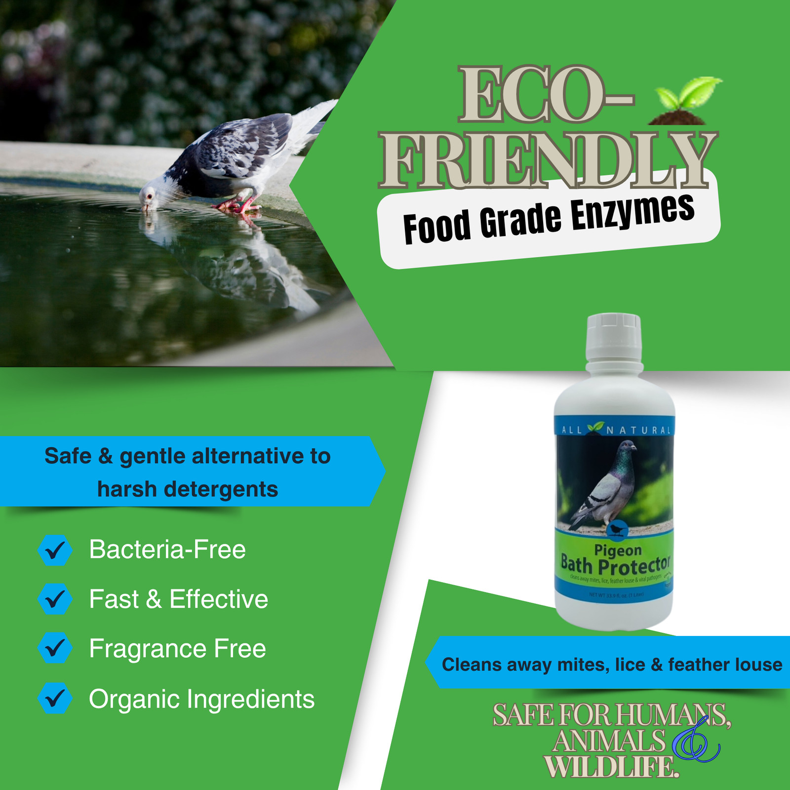 Pigeon Bath Protector & Feather Conditioner | For Show & Racing Pigeons | 16 oz