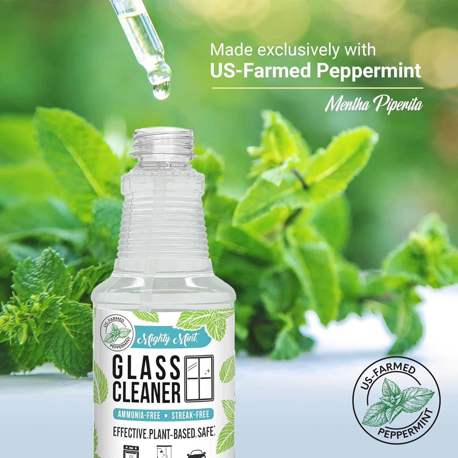 Glass Cleaner, Ammonia-Free, Streak-Free Spray for Windows, Screens, Stovetop, B