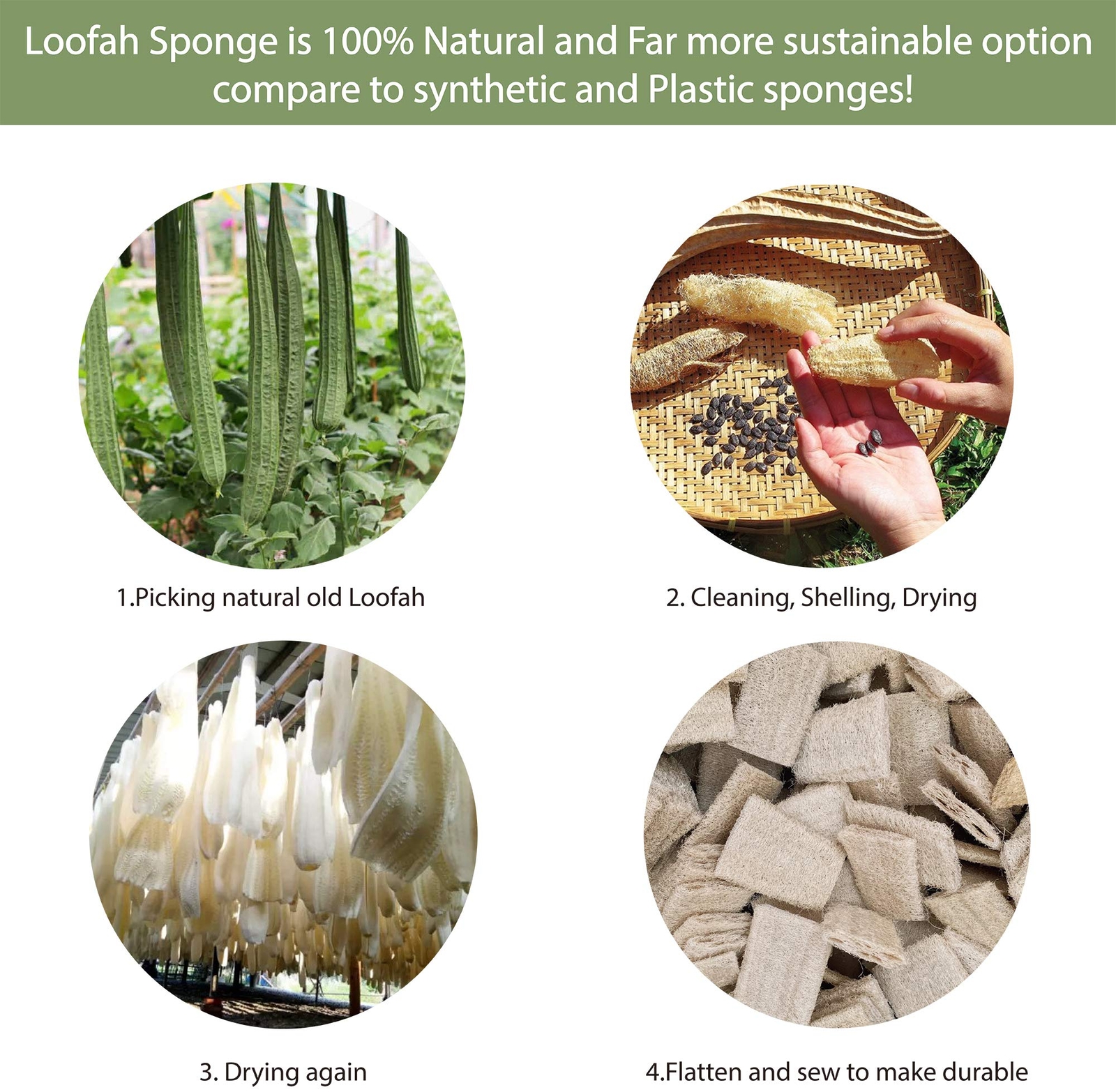 Plantbased 6pcs Kitchen Brush Set By Sustainable & Biodegradable Natural Fibre B
