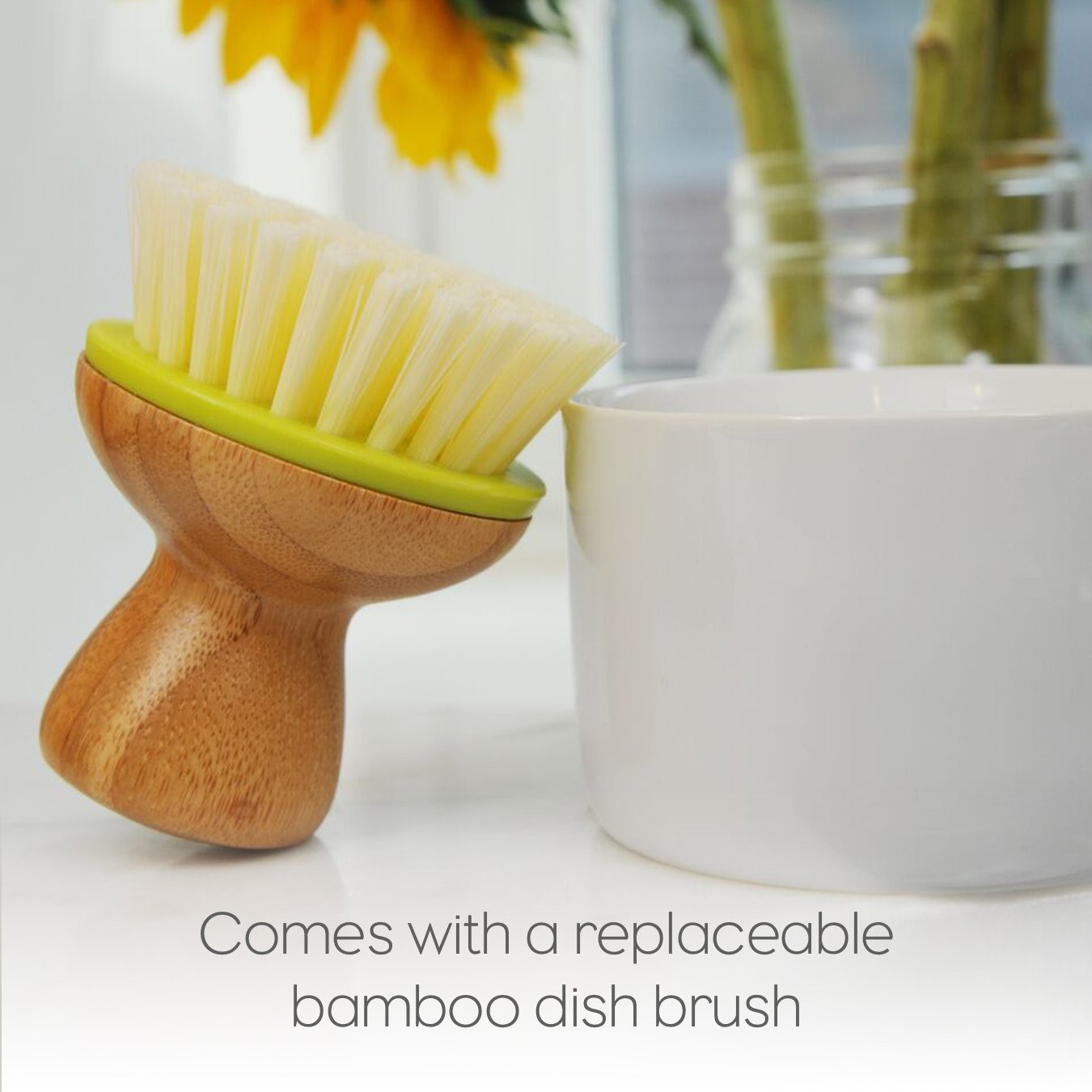 Eco-Friendly Dish Brush Set, 6 Pack – Bubble Up Design for Easy Cleaning
