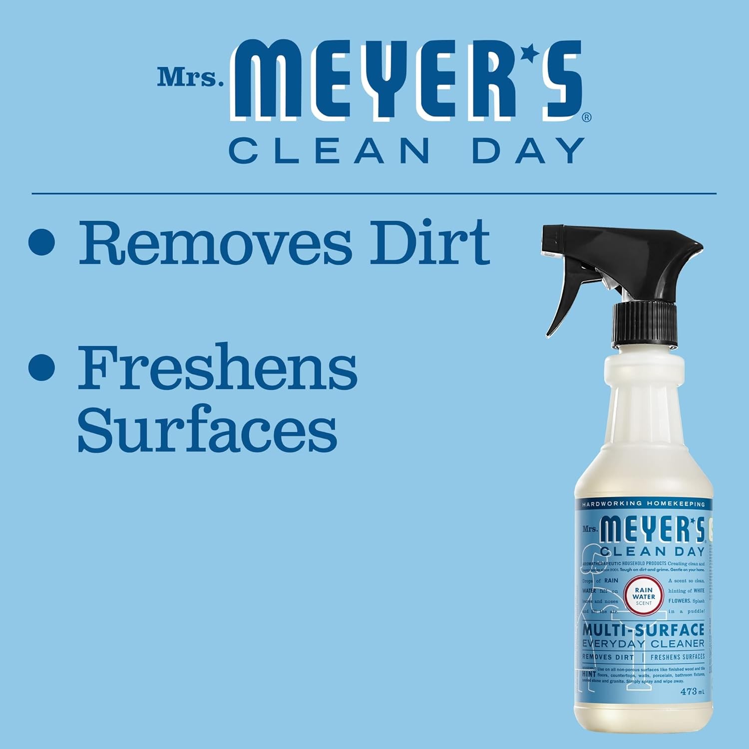 CLEAN DAY Multi-Surface Everyday Cleaner, Rain Water Scent, 16 Ounce Bottle