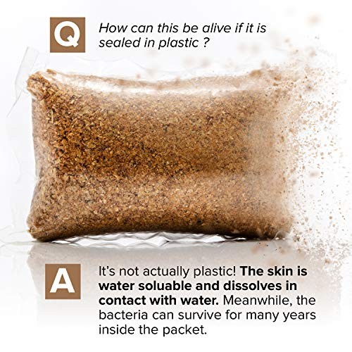 Septic Tank Treatment – 1 Year Supply of Dissolvable Easy Flush Live Bacteria