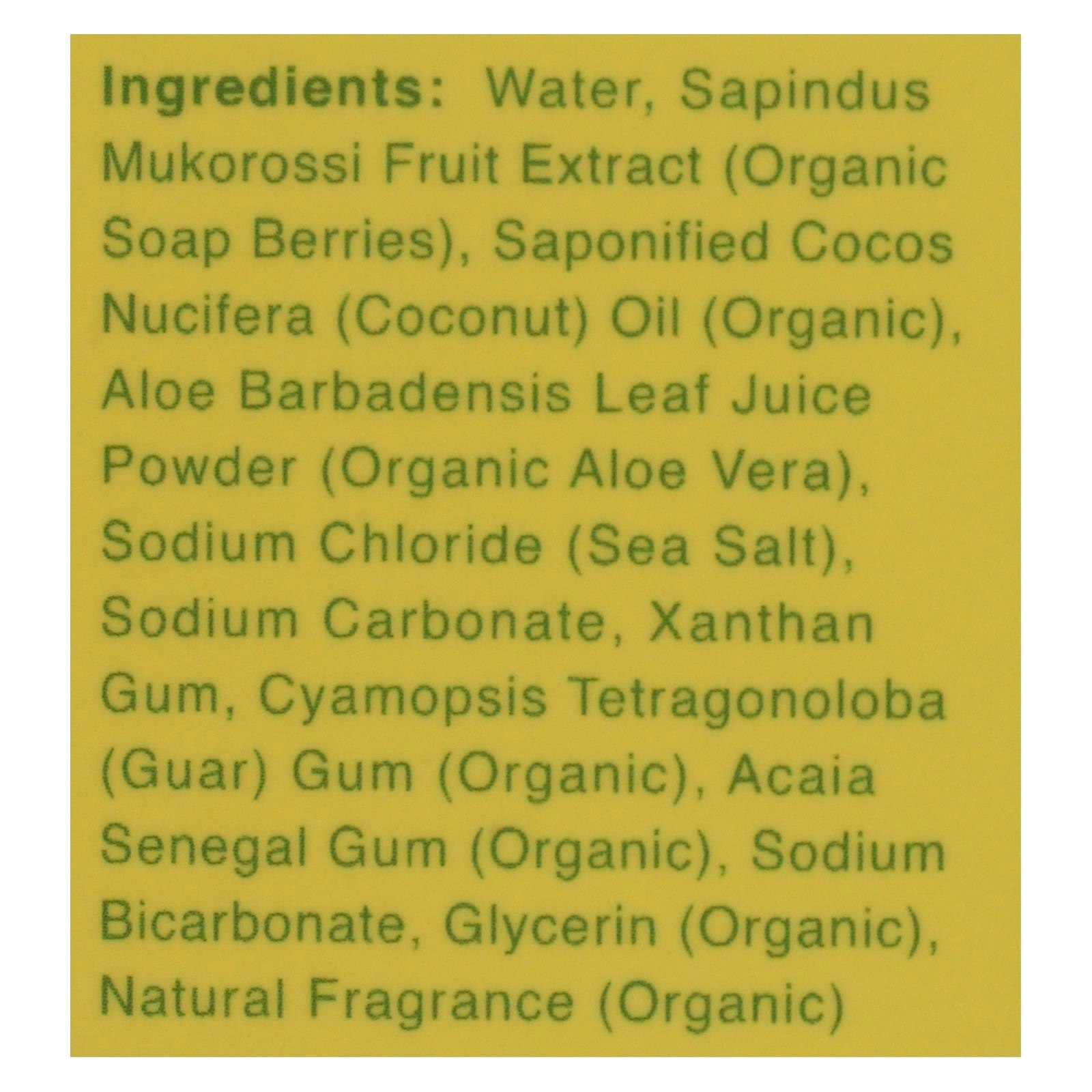 Rebel Green Laundry Detergent Organic Peppermint and Lemon