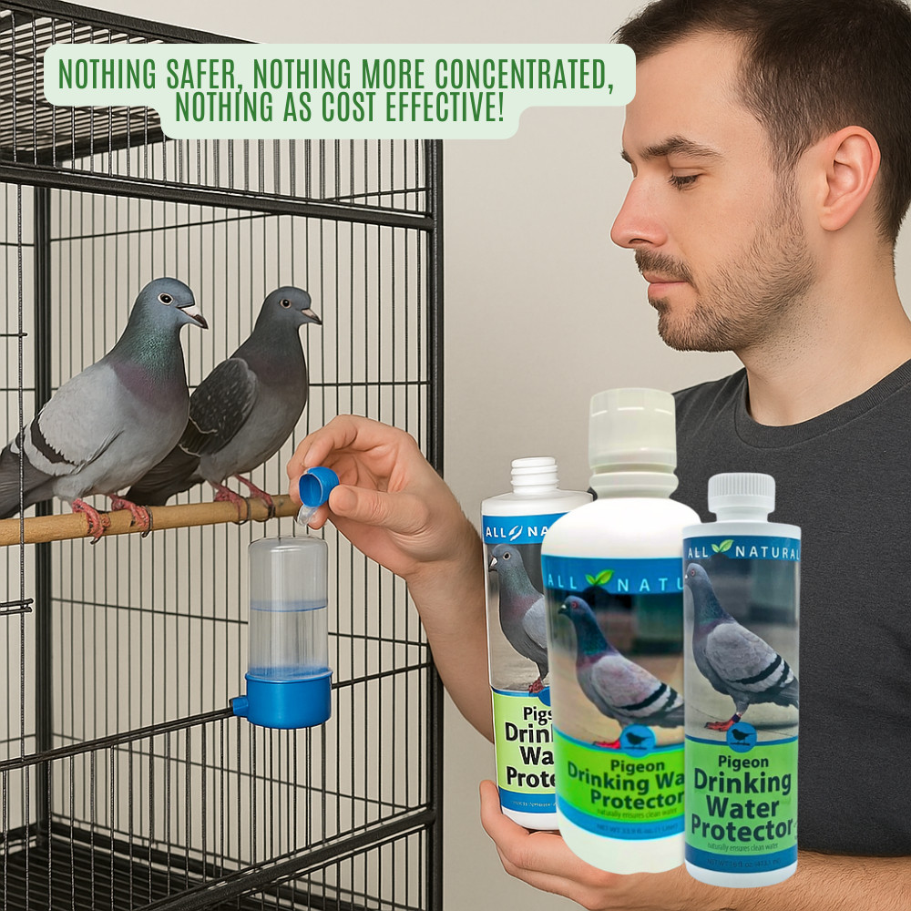 Pigeon Drinking Water Protector | Keeps Water Fresh & Slime-Free | 16 oz & 33.9