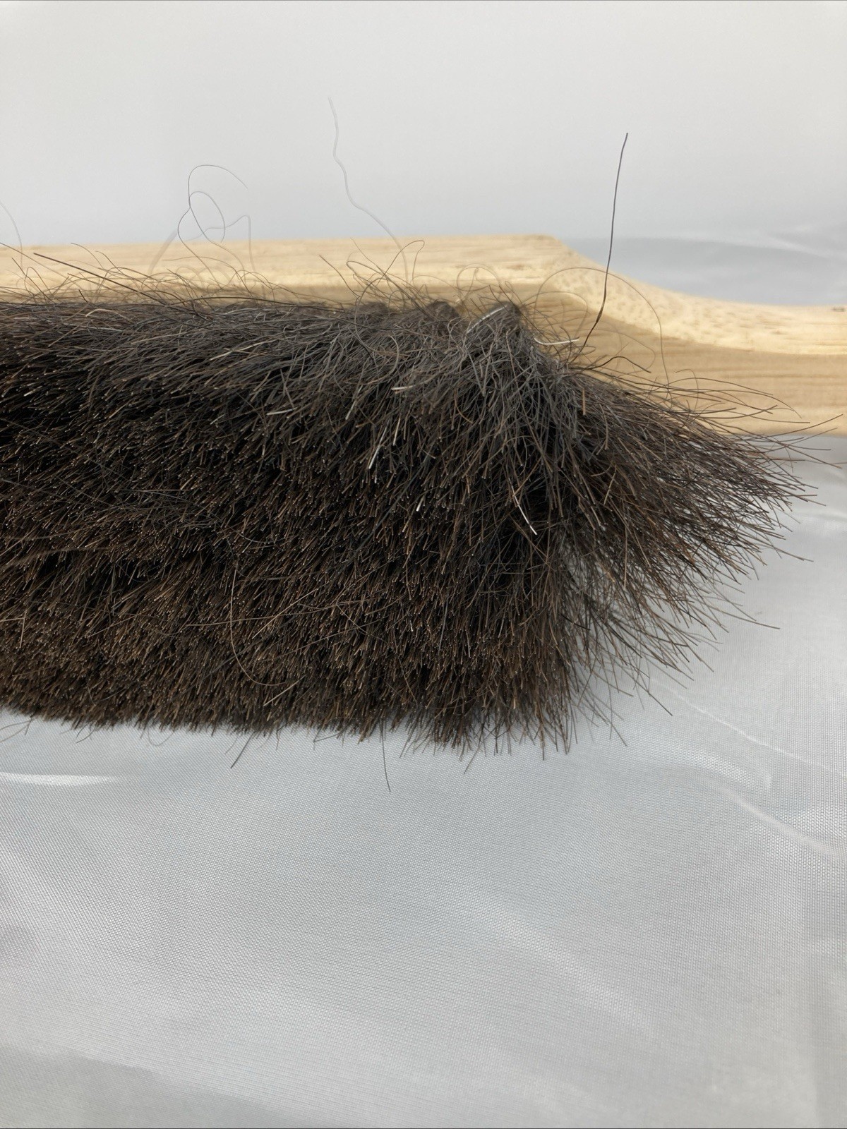 HDX 13.5 in. Wooden Handle 8 in. Horsehair Bench Brush -Flared Design 2-1/2 in