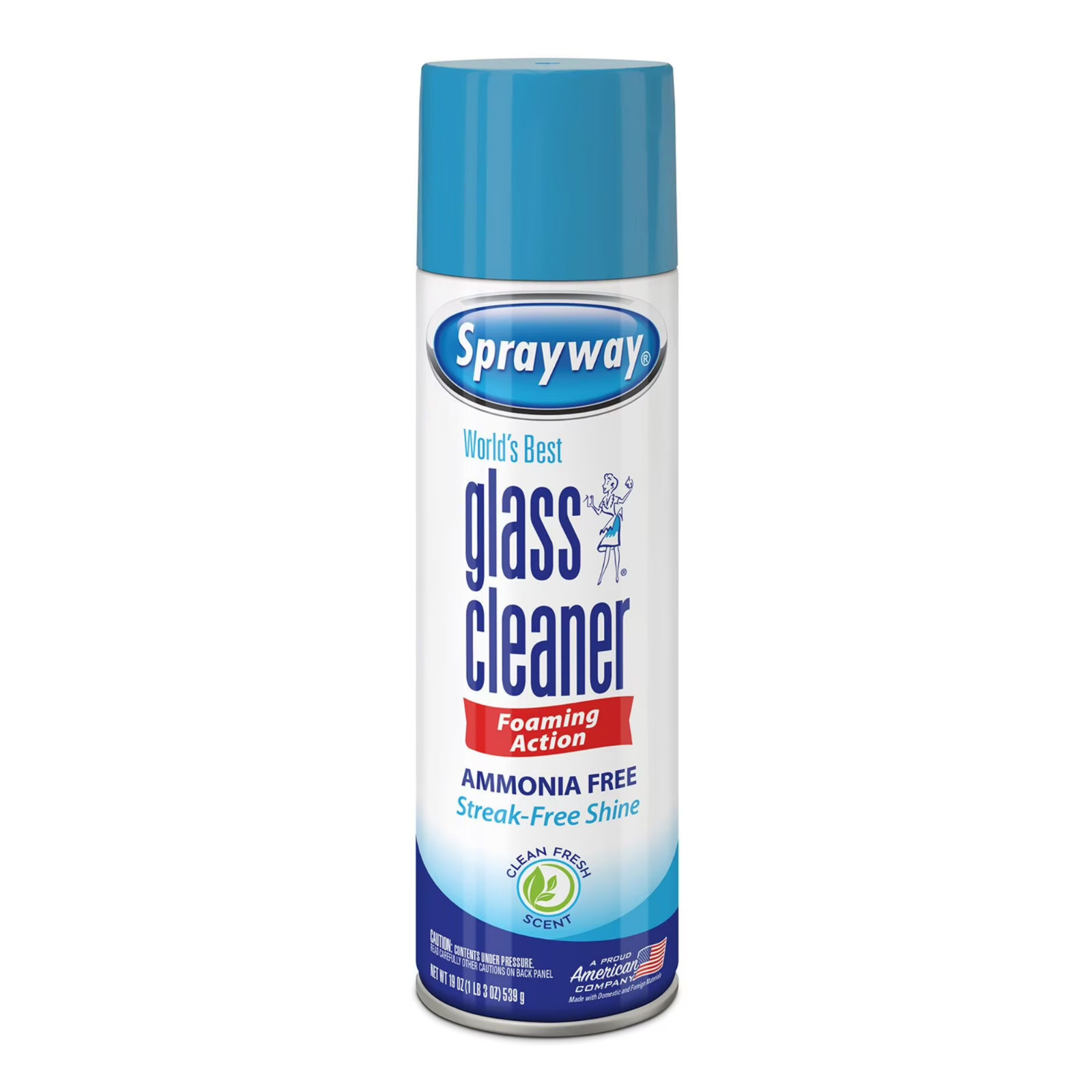 Sprayway Glass Cleaner 19 Ounce Pack of 4 Streak Free Shine free shipping