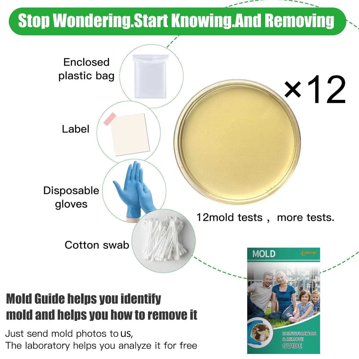 Mold Kit for Home Within 12 Individual Tests,DIY Detector at Home, Surface M…