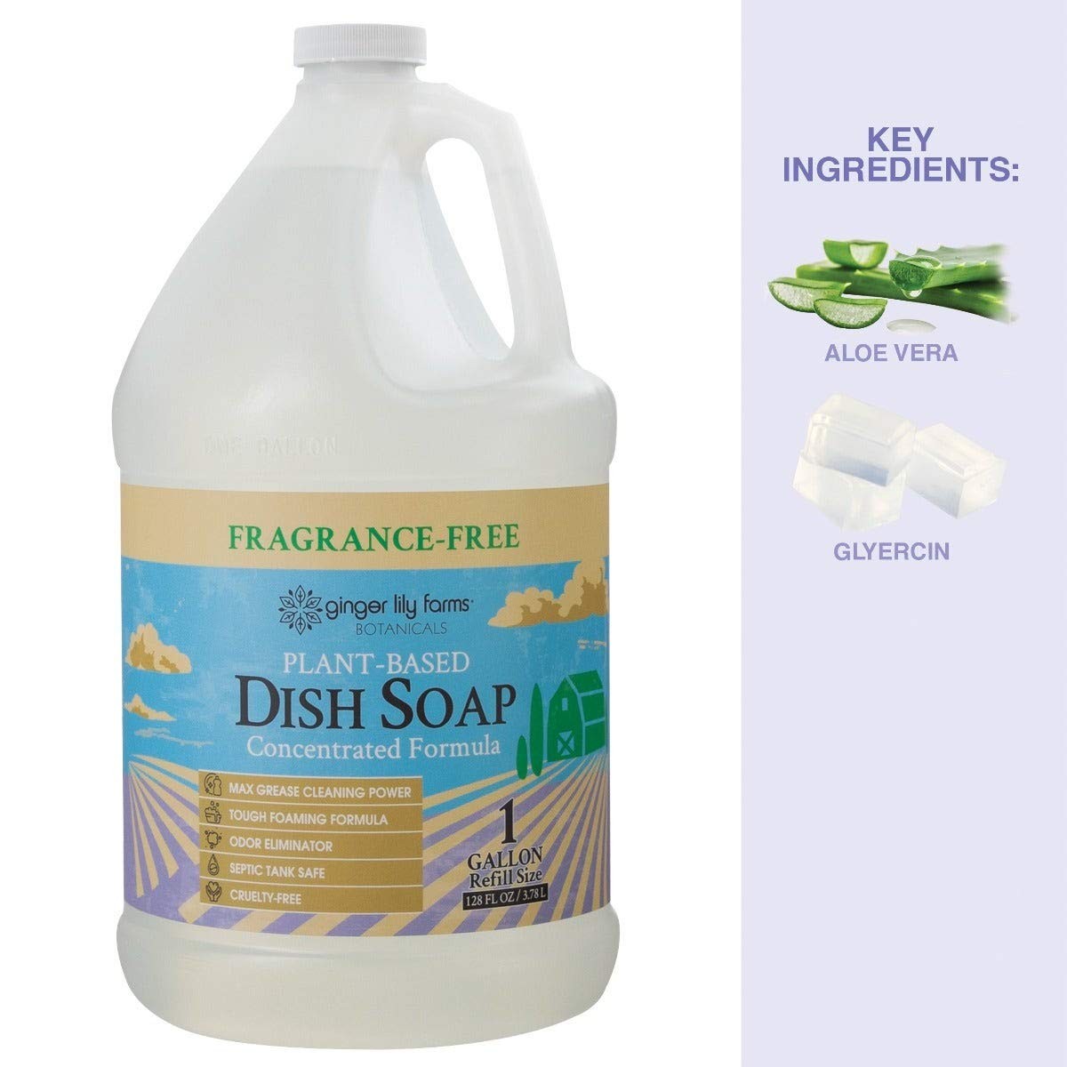 Ginger Lily Farms Botanicals PlantBased Liquid Dish Soap, Concentrated Formul…