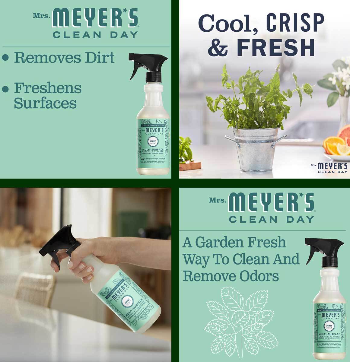Mrs Meyers Multi-Surface Every Day Spray Cleaner Mint Scent – 16 Oz – EACH